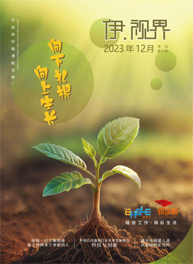 伊 ? 视界2023年12月第十期